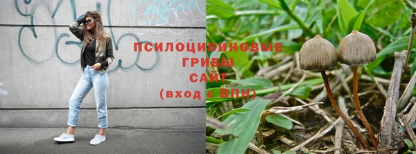 бутират Липки